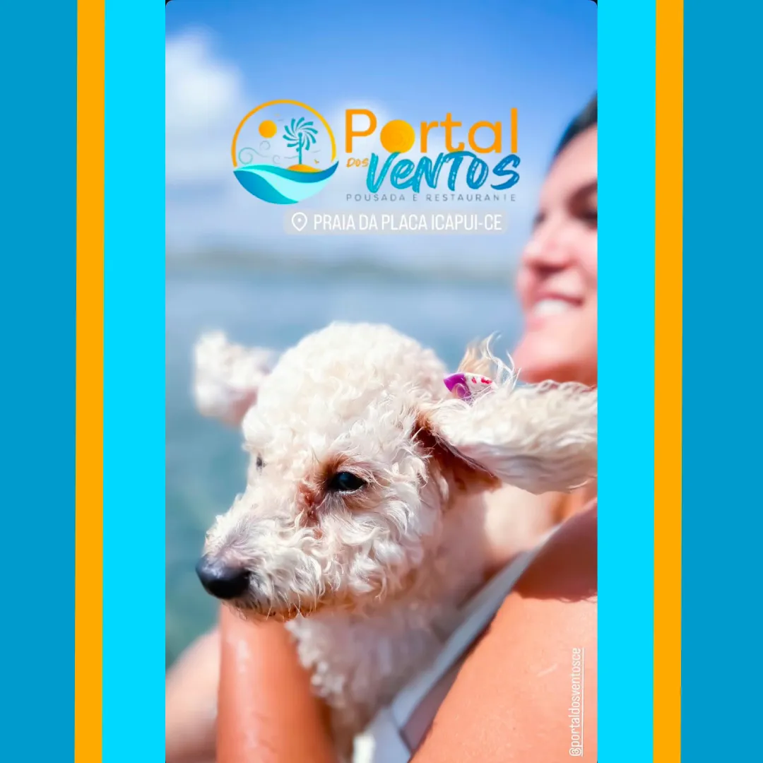 Pet hospedado no Portal dos Ventos, pousada pet friendly à beira-mar em Icapuí